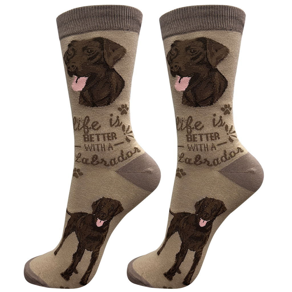Labrador, chocolate socks, life is better