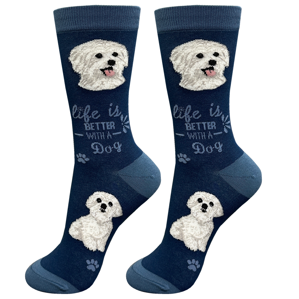 Maltese  socks, life is better