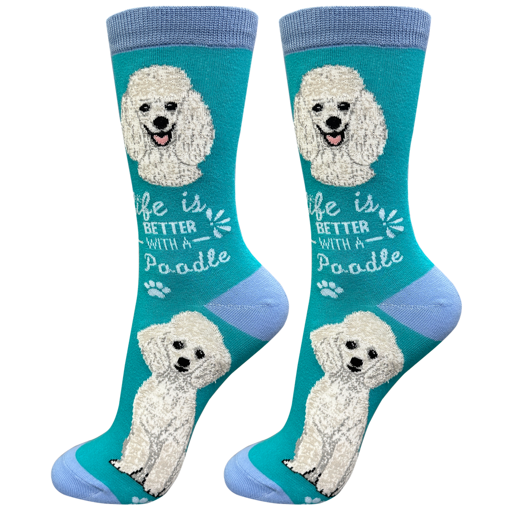 Poodle, white socks, life is better