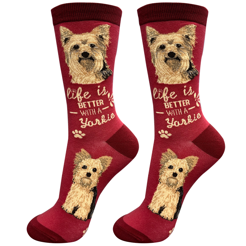 Yorkie  socks, life is better