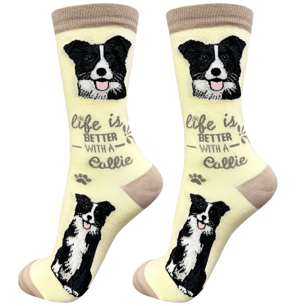Border Collie  socks, life is better