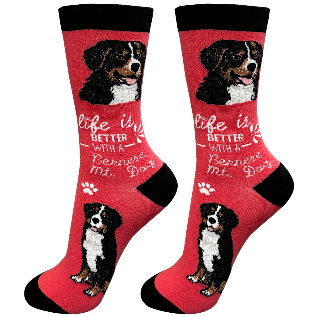Bernese Mt. Dog  socks, life is better