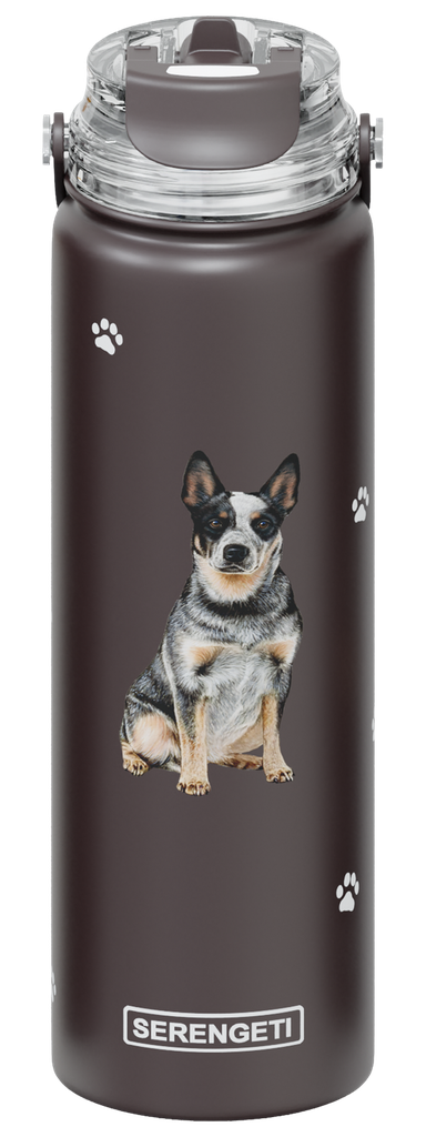 Australian Cattle Dog water bottle