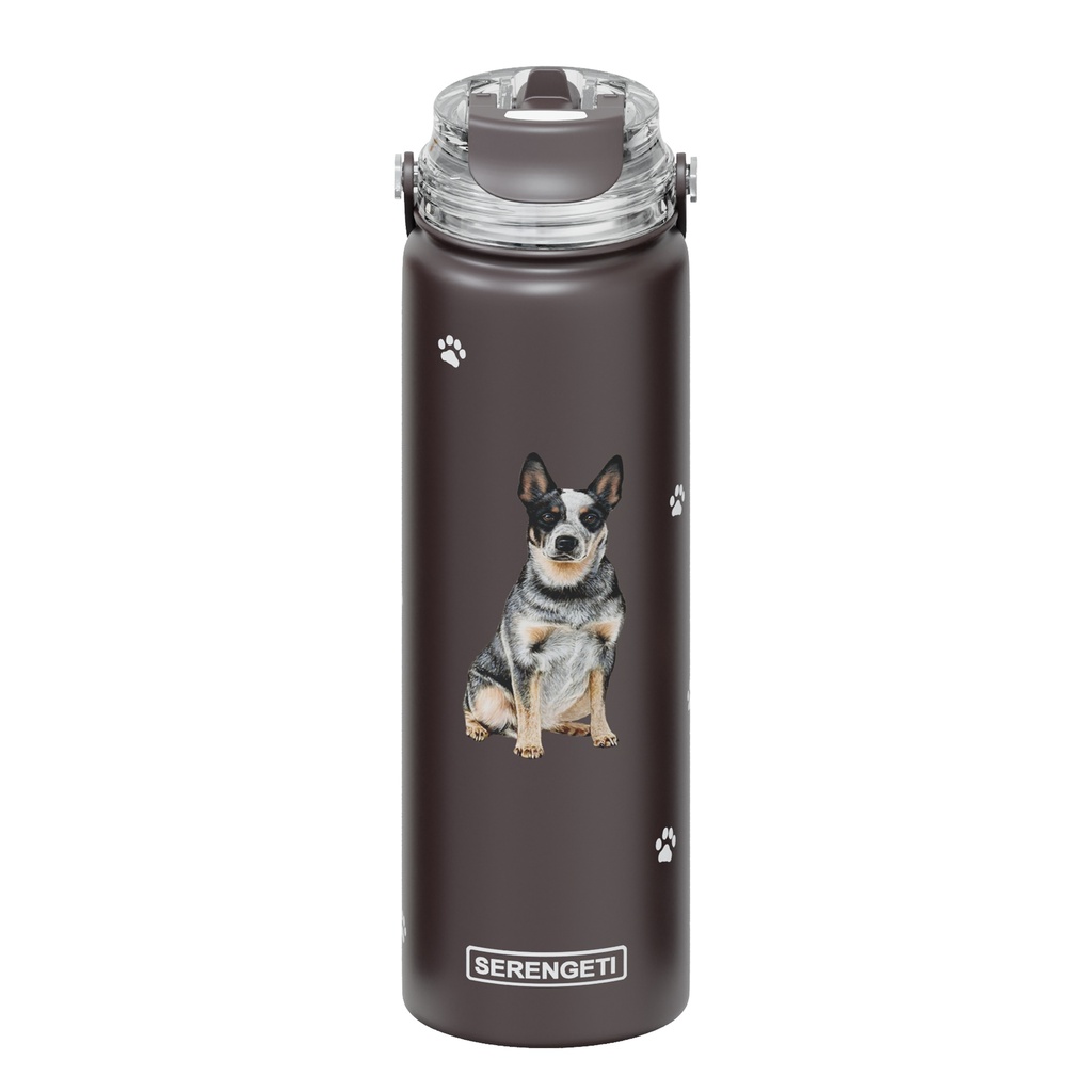 Australian Cattle Dog water bottle