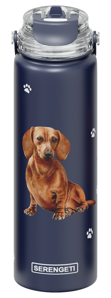 Dachshund, red water bottle