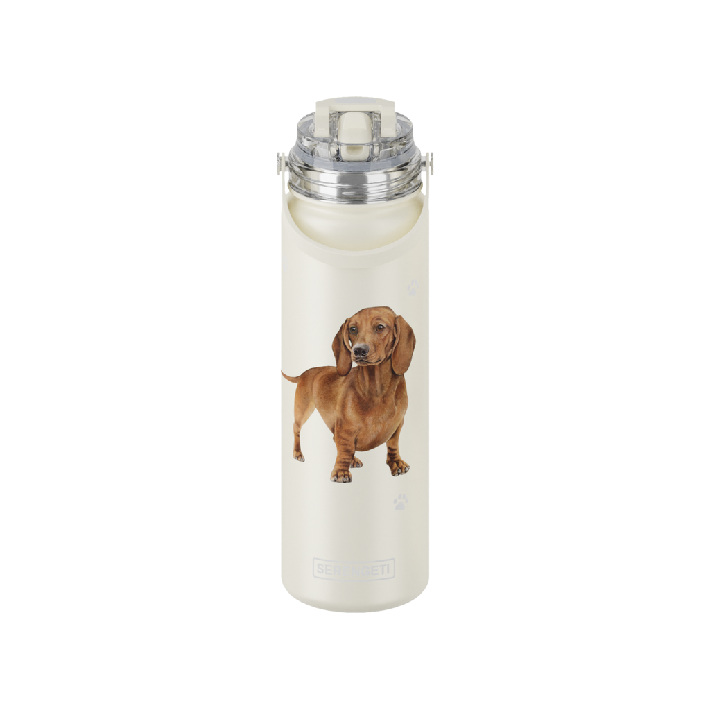 Dachshund, red water bottle
