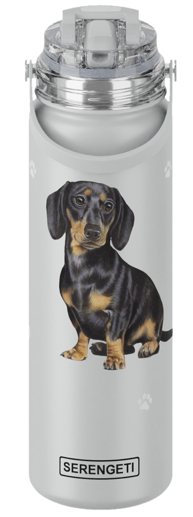 Dachshund, black water bottle