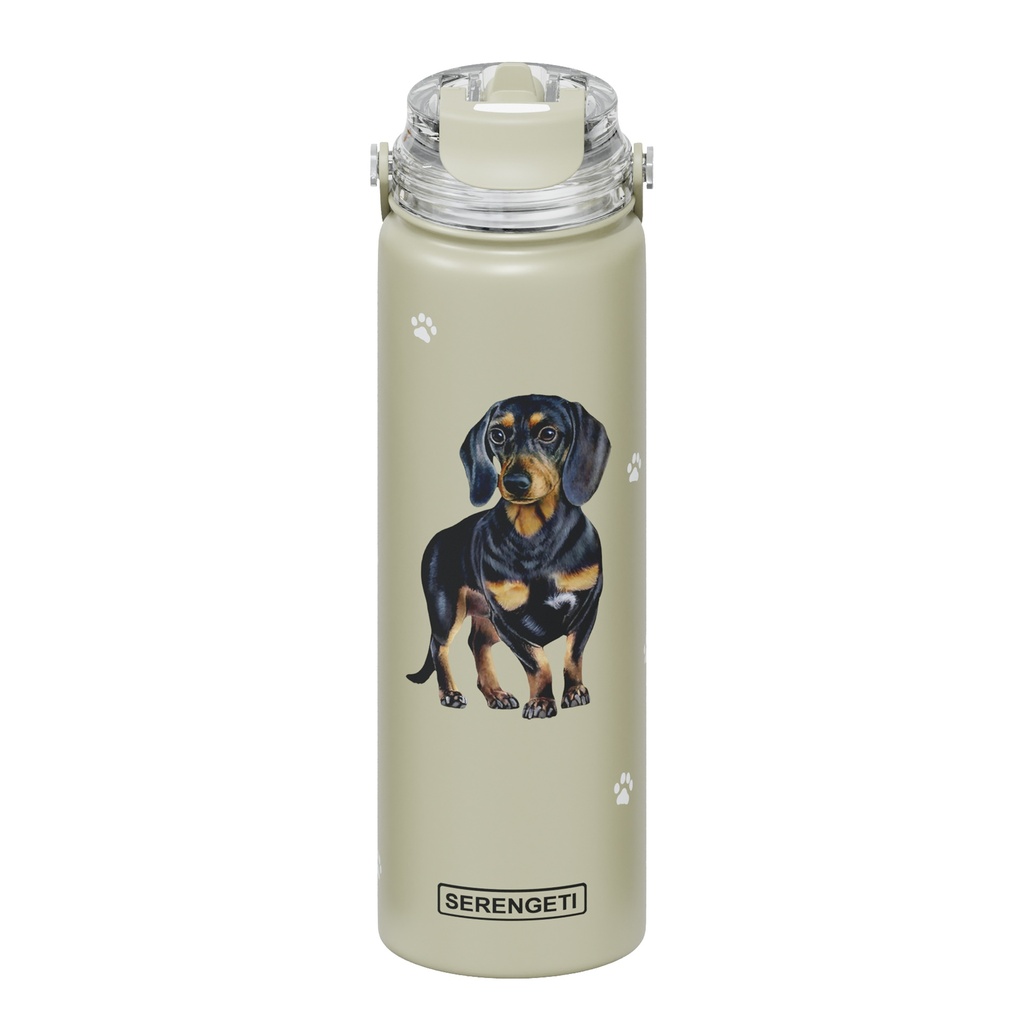 Dachshund, black water bottle