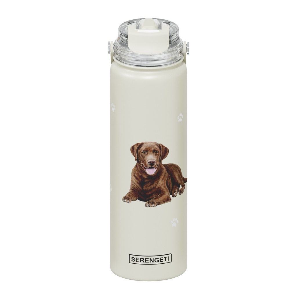 Lab, chocolate water bottle