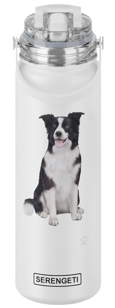 Border Collie water bottle