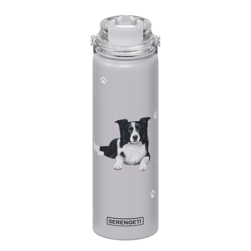 Border Collie water bottle