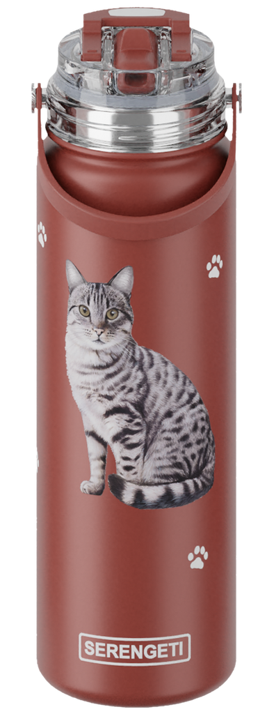 Tabby Silver water bottle
