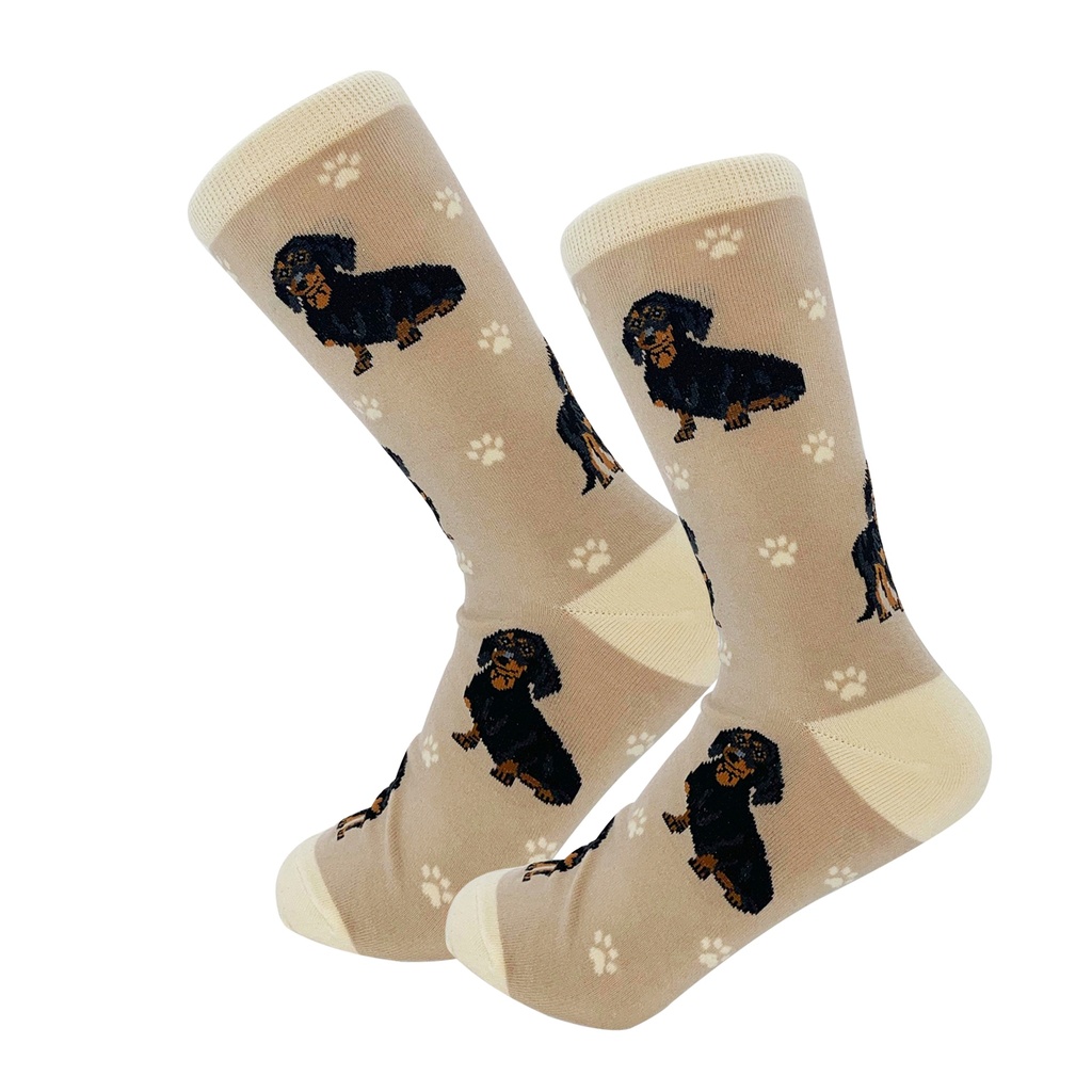 Dachshund, Black Socks, Full Body Dog
