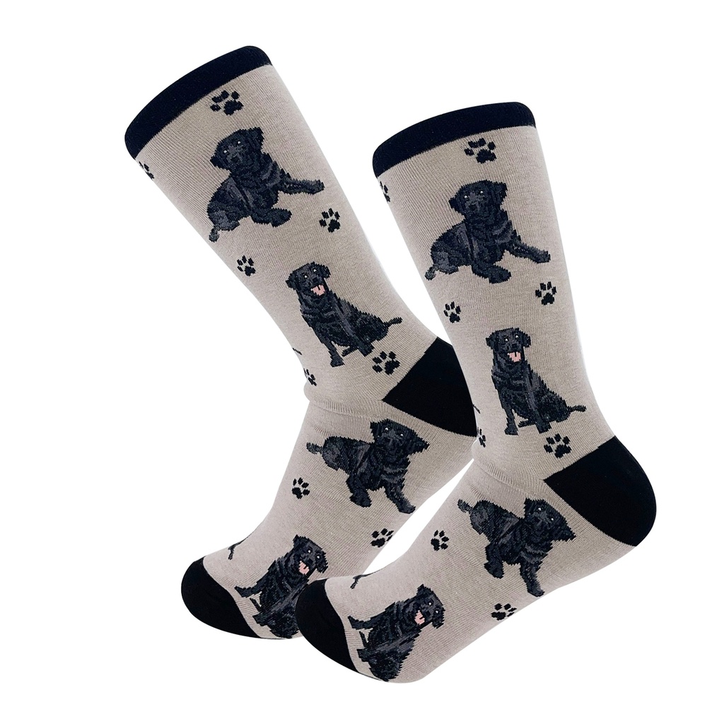 Labrador, Black Socks, Full Body Dog