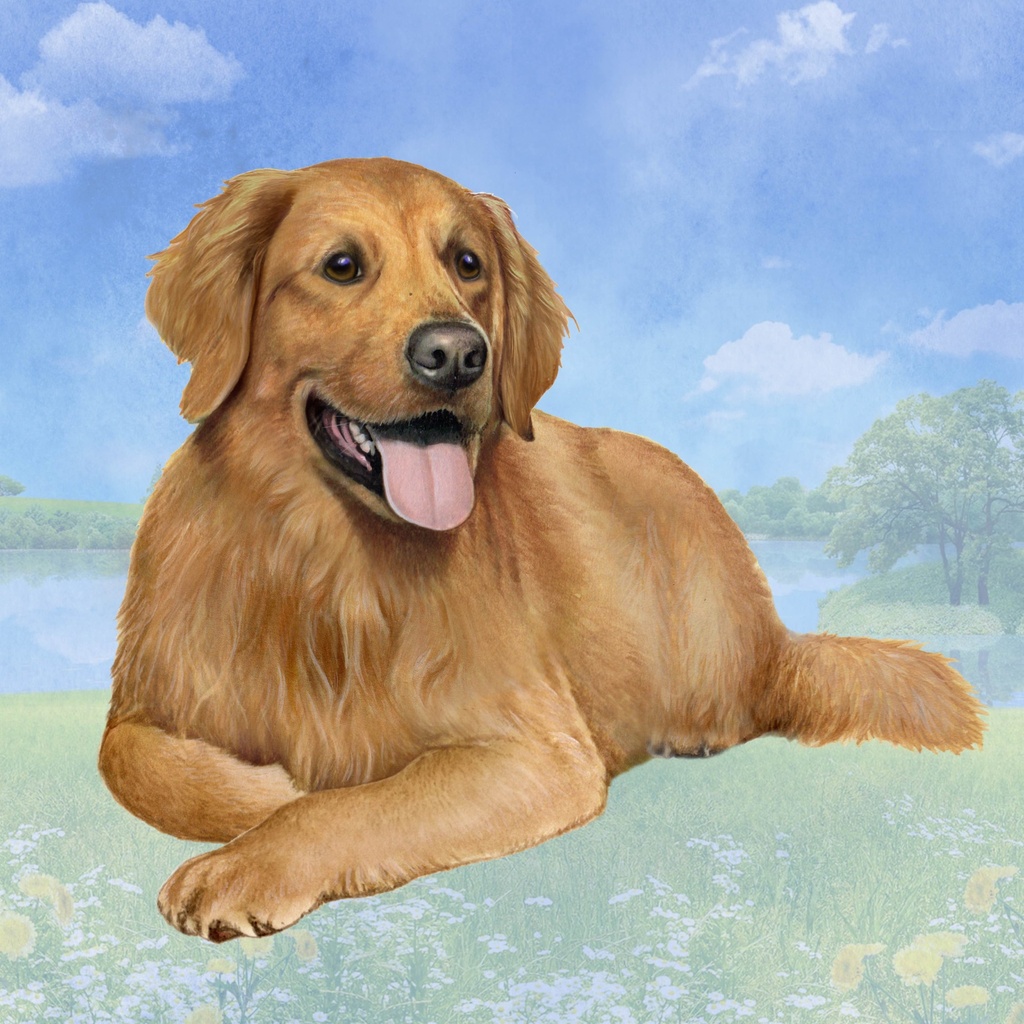 Golden Retriever Laying Tote, foldable