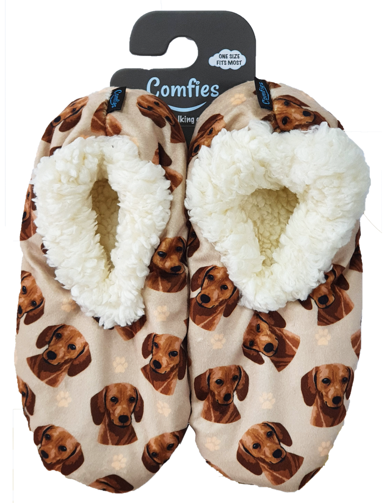 Dachshund, red Slippers