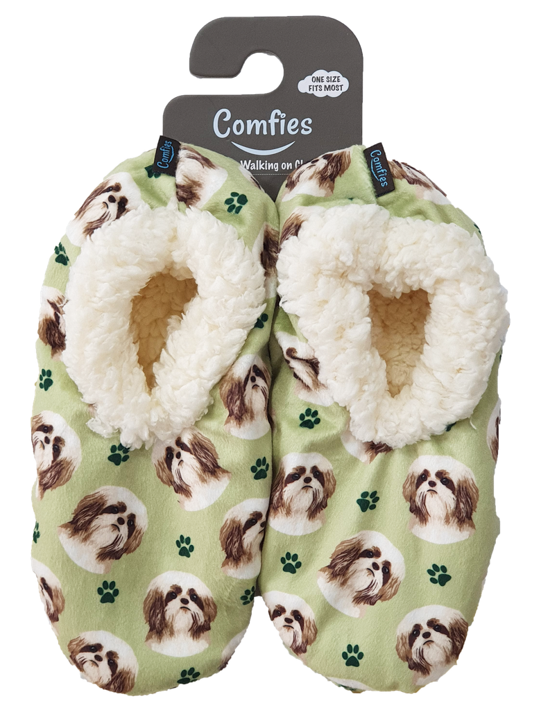 Shih Tzu, tan Slippers