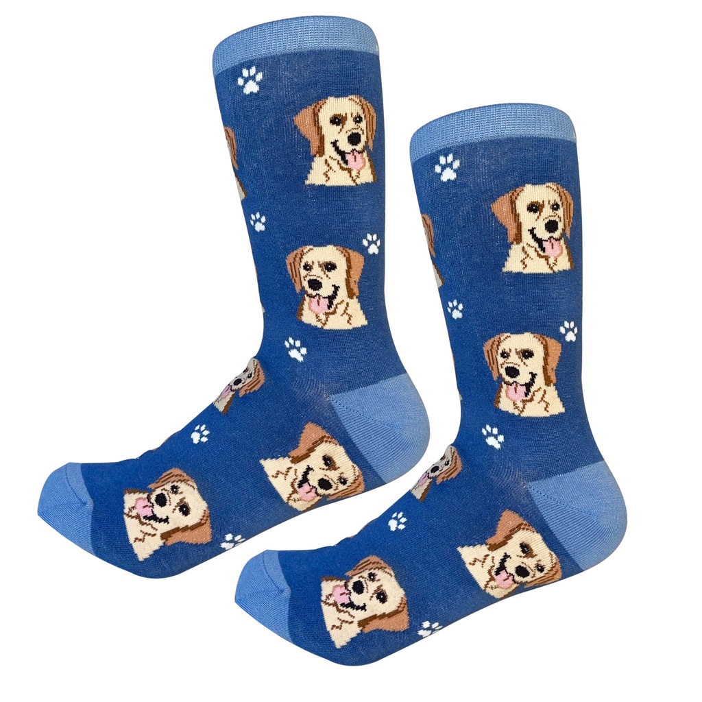 Labrador, yellow Sock Daddy