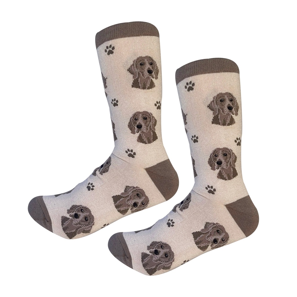 Weimaraner  Sock Daddy