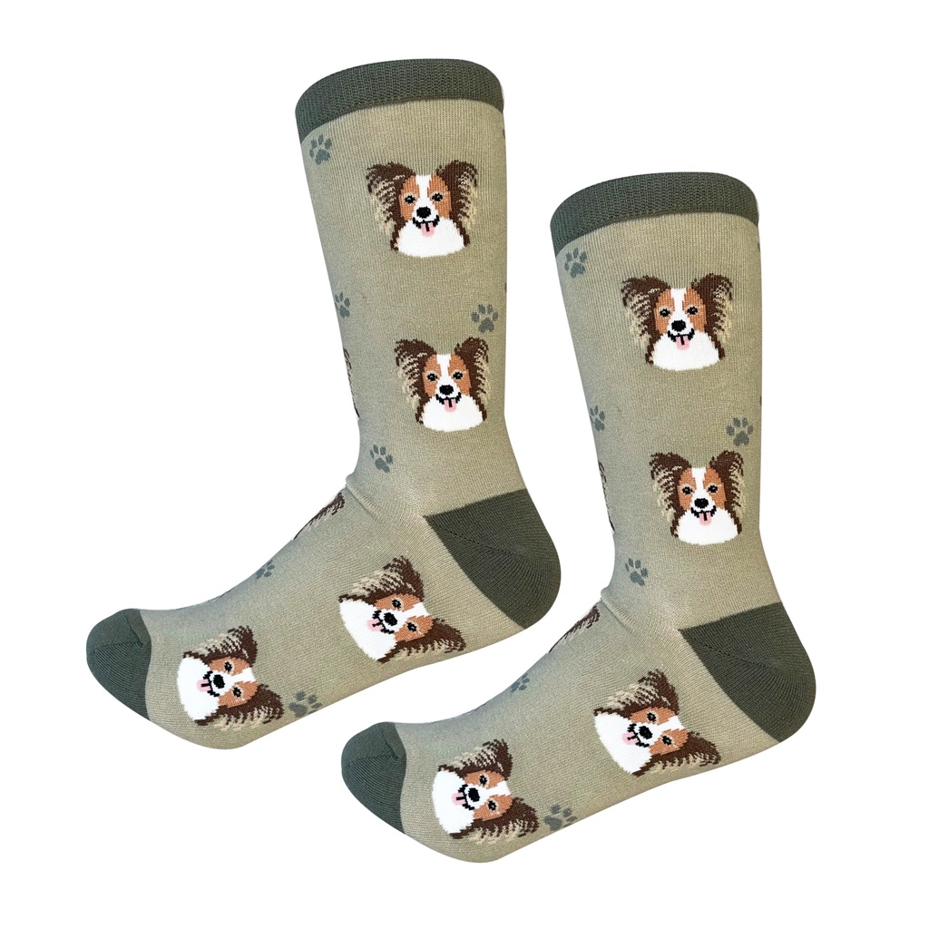 Papillon Sock Daddy