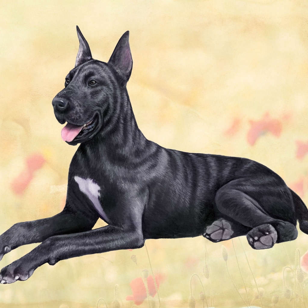Great Dane Coaster, square