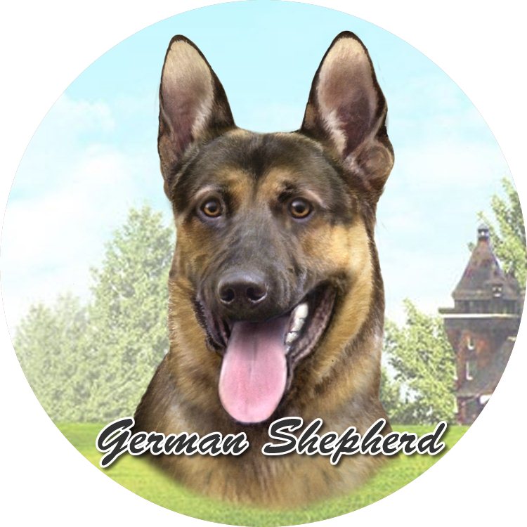 German Shepherd Laying  coasters car