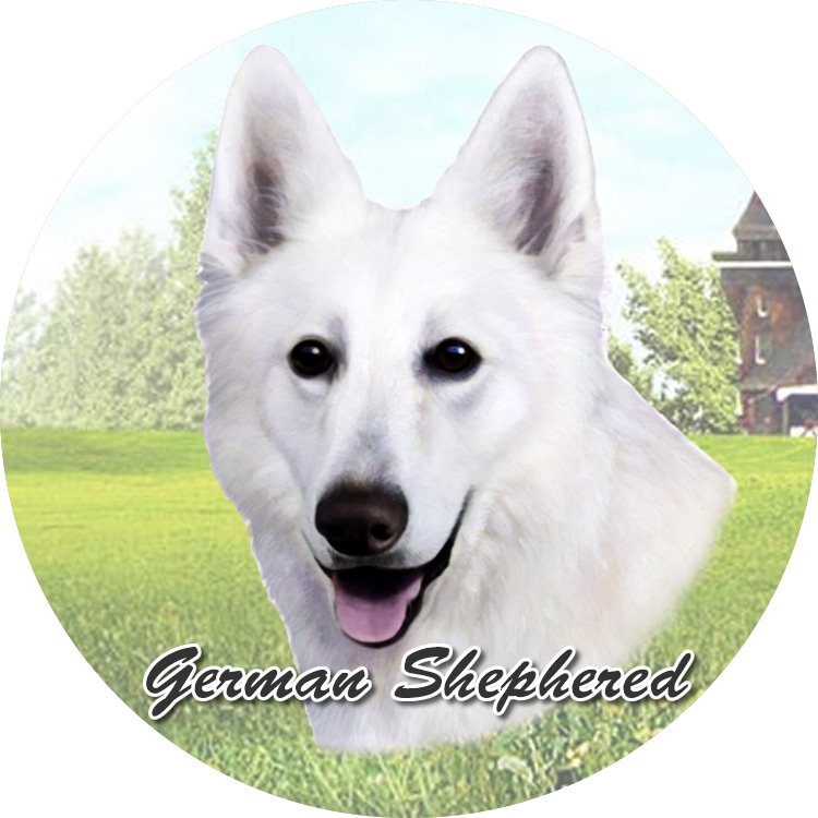 German Shepherd White coasters car