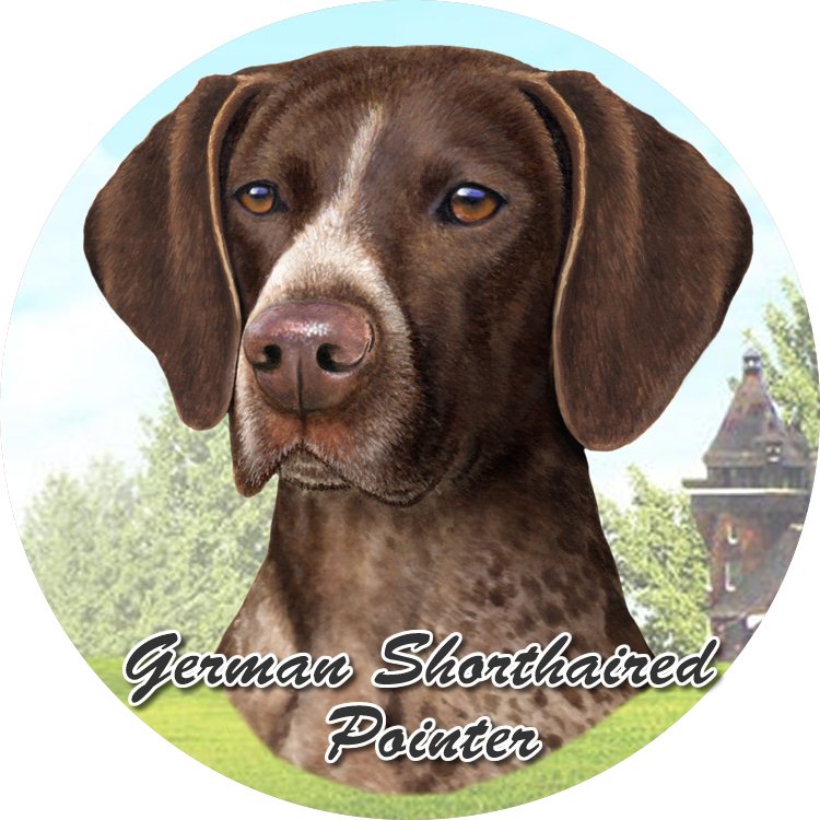 German Shorthair Pointer Sitting coasters car