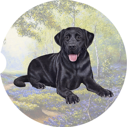 Lab Black coasters car