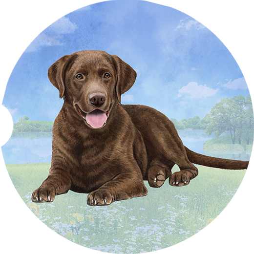 Lab Chocolate coasters car