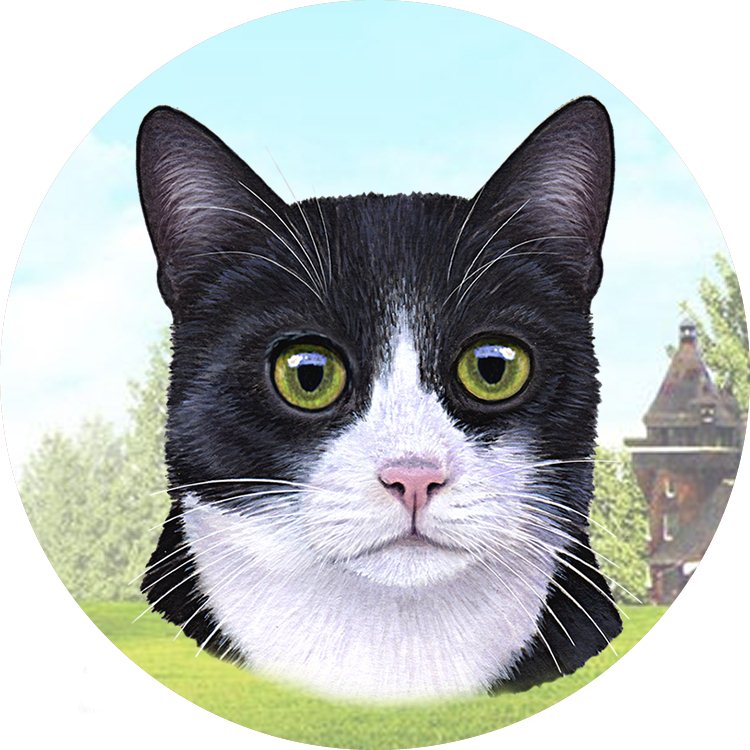 black and white cat coasters car