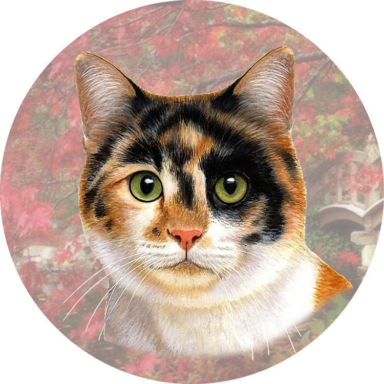 Calico Cat Laying  coasters car