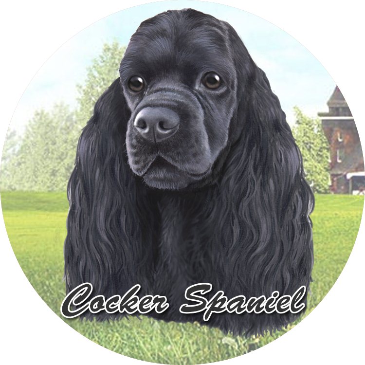 Cocker Spaniel Car Coaster