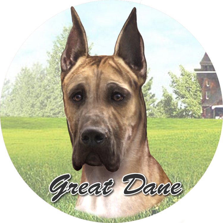 Great Dane Car Coaster