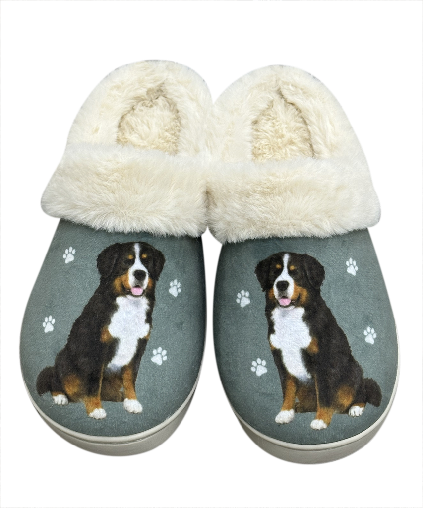 Bernese Mt. Dog - Snugg Slippers