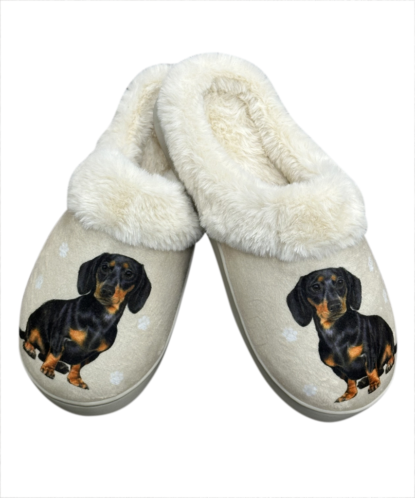 Dachshund black - Snugg Slippers