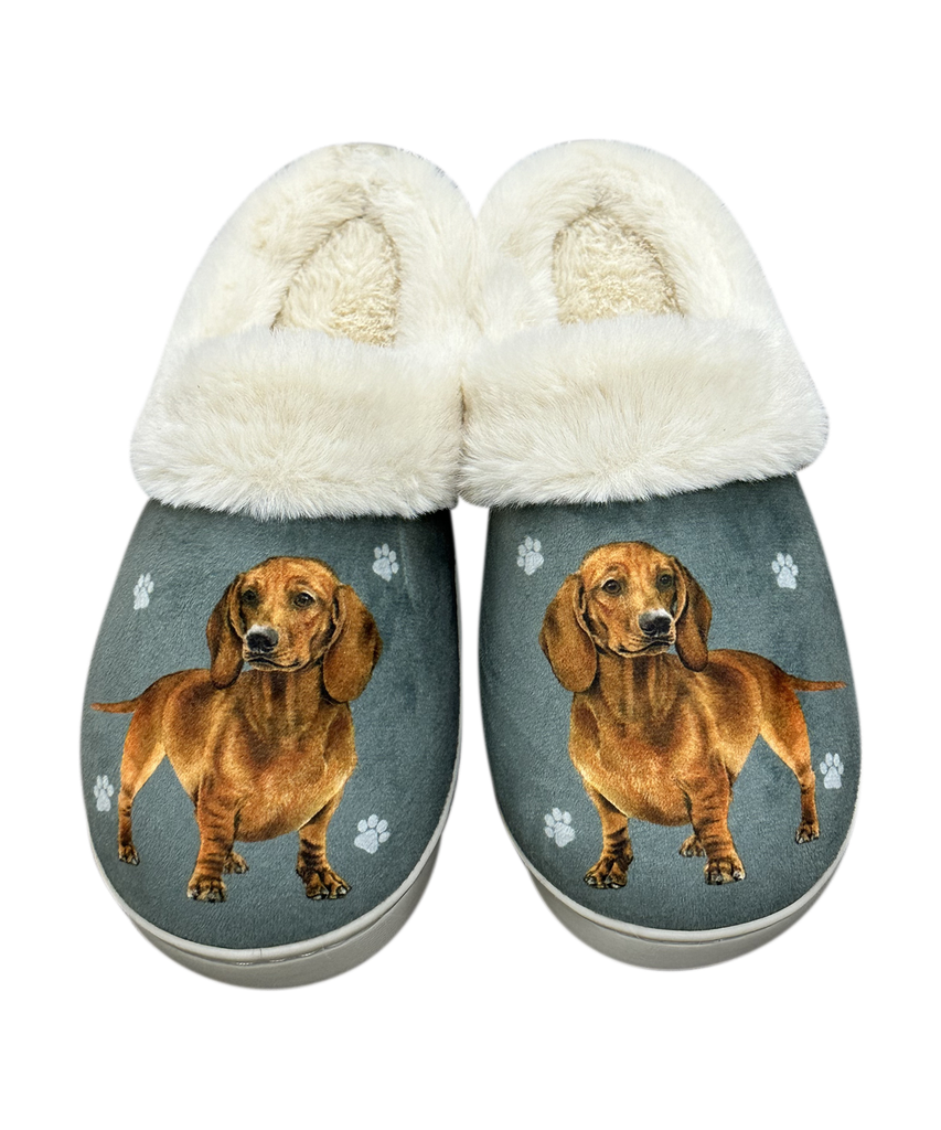 Dachshund red - Snugg Slippers