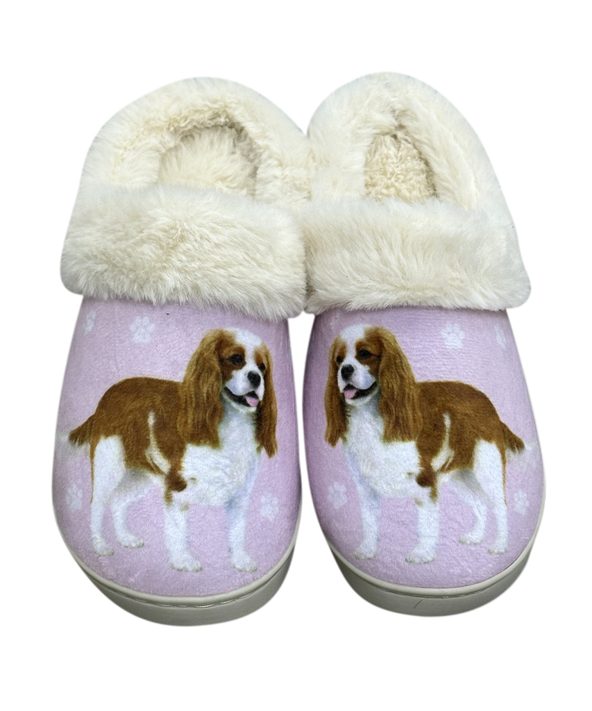 King Charles Cavalier - Snugg Slippers