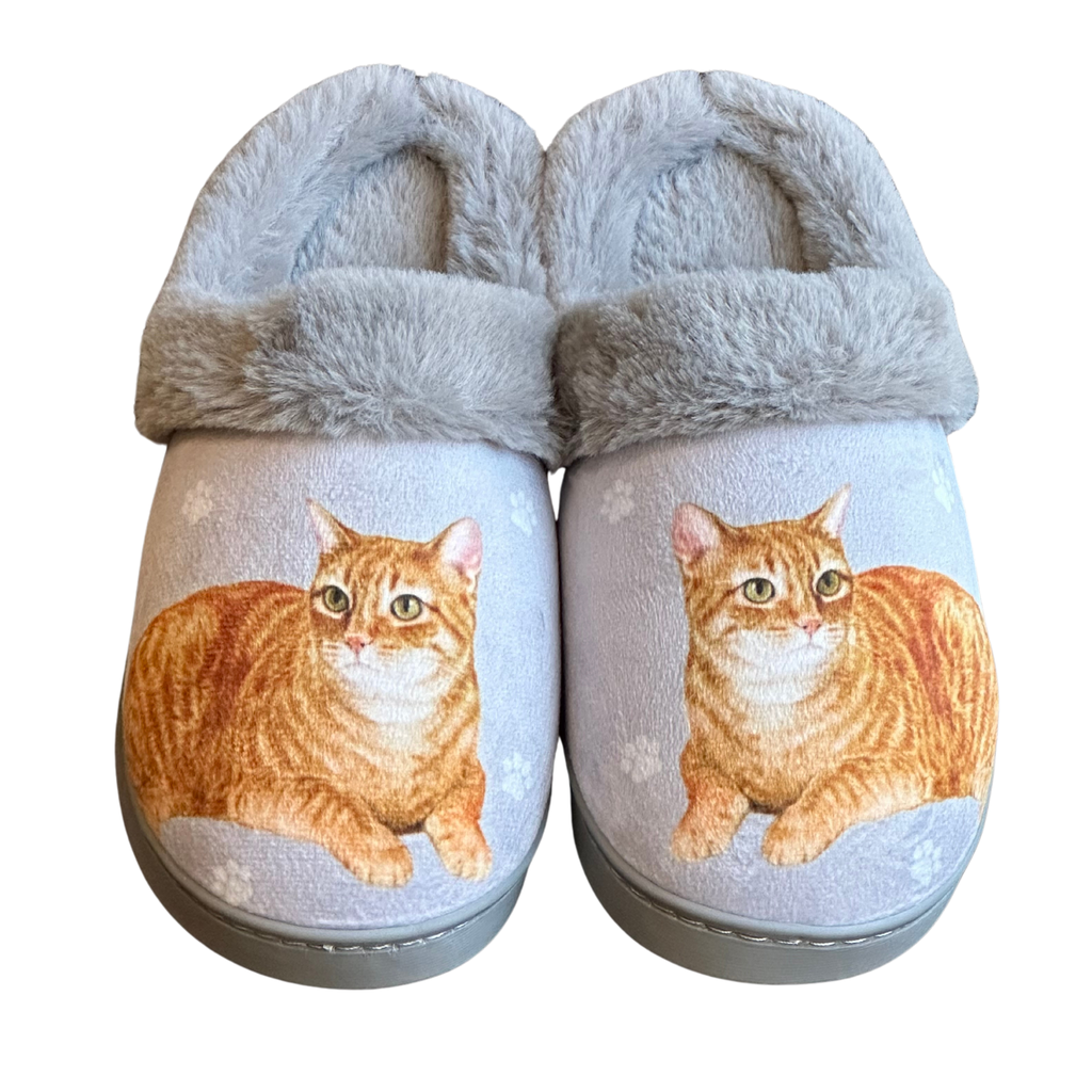 Tabby Orange - Snugg Slippers