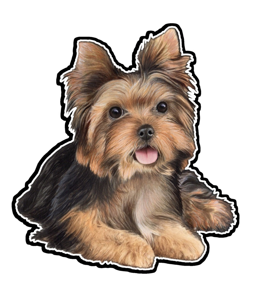 Yorkie, Puppy Cut Sticker