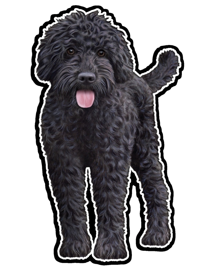 Labradoodle, Black Sticker