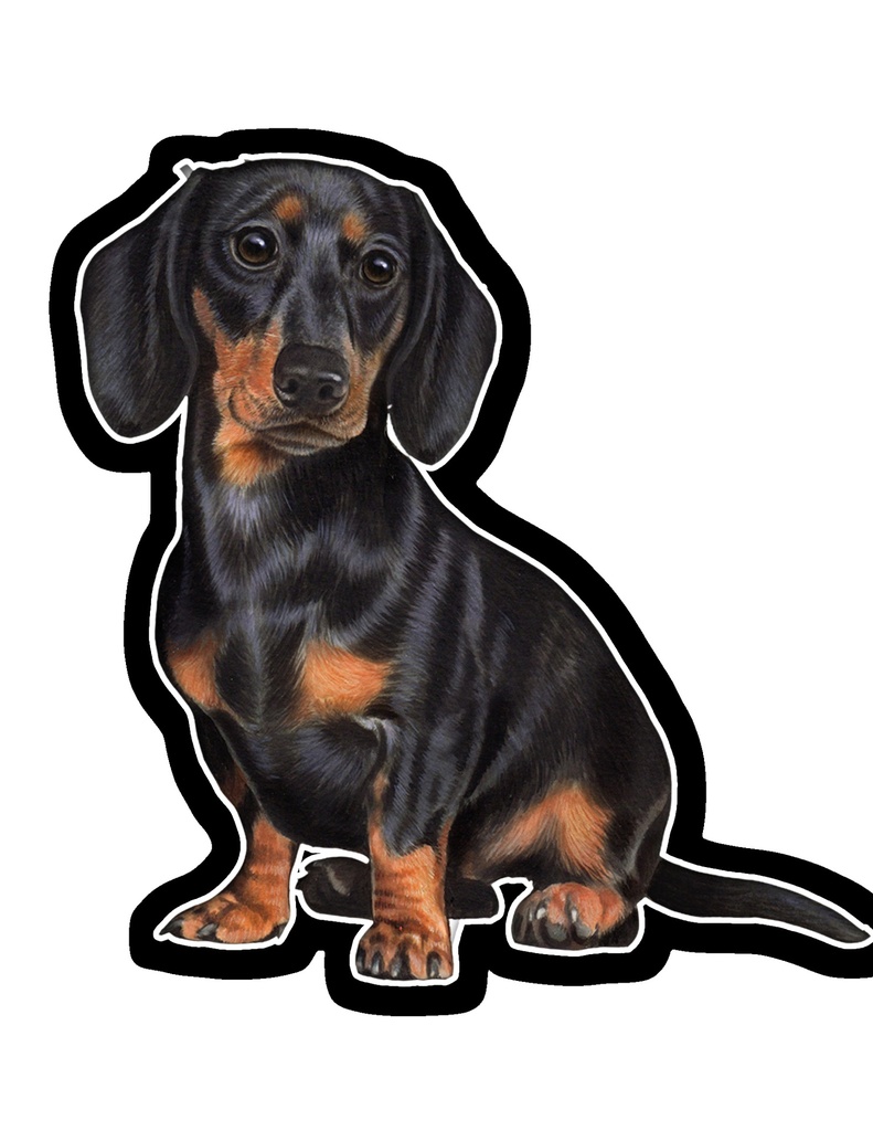 Dachshund, Black Sticker