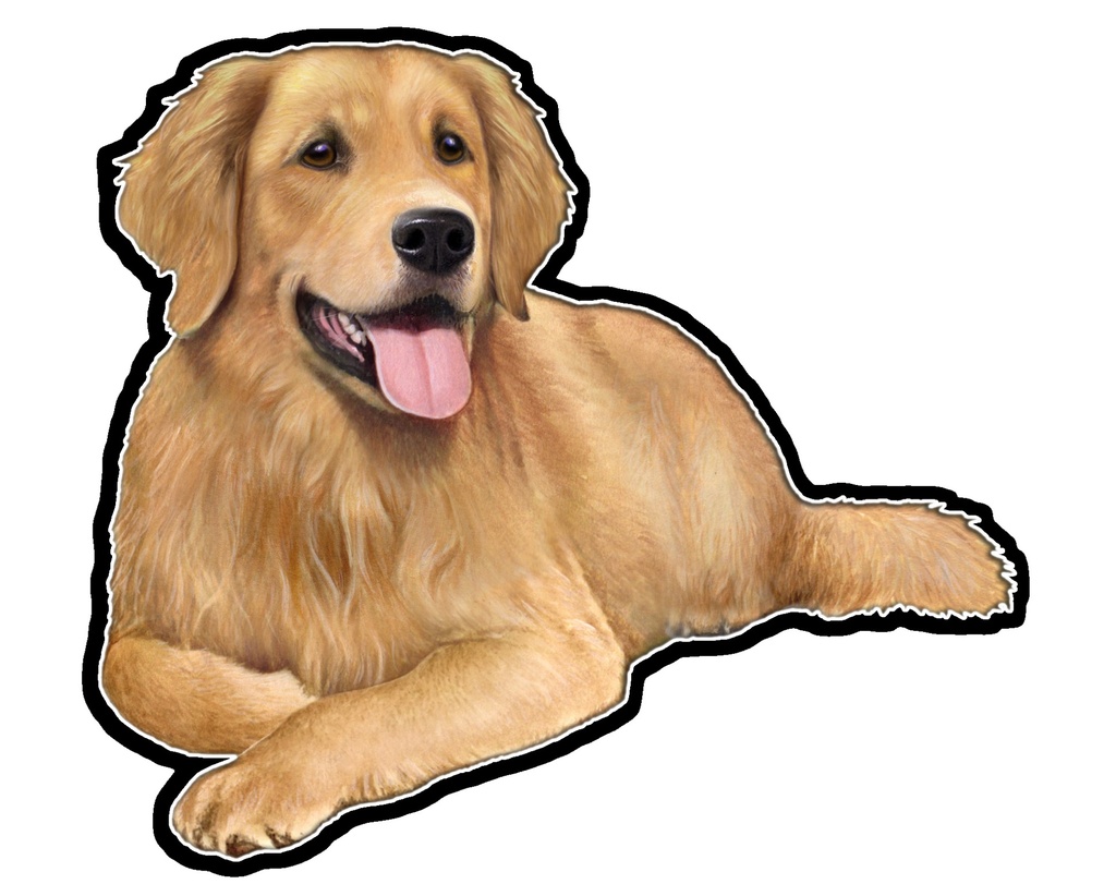 Golden Retriever Sticker