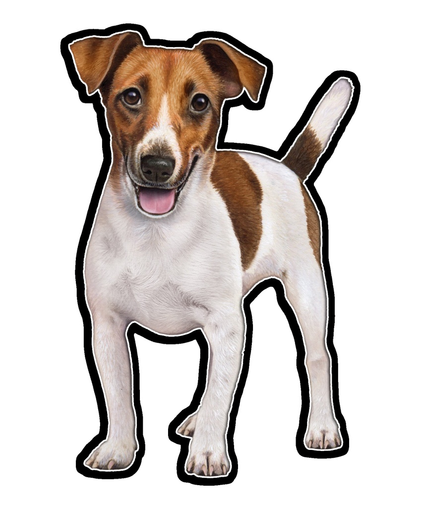 Jack Russell Sticker