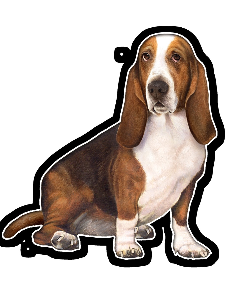 Basset Hound Sticker