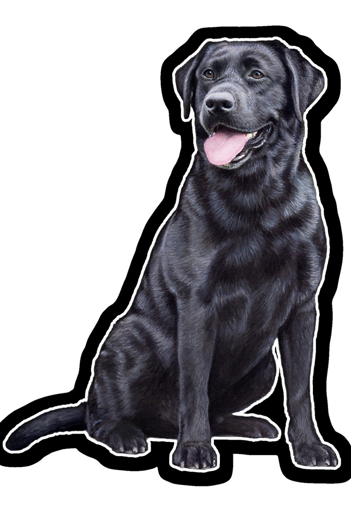 Labrador, Black Sticker
