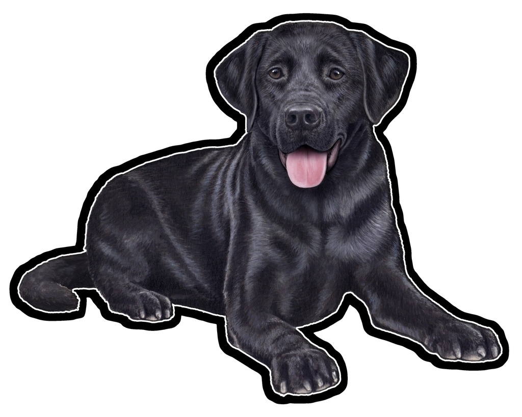 Labrador, black Sticker