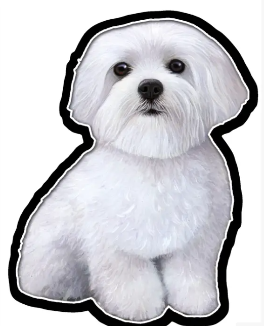 Maltese Sticker