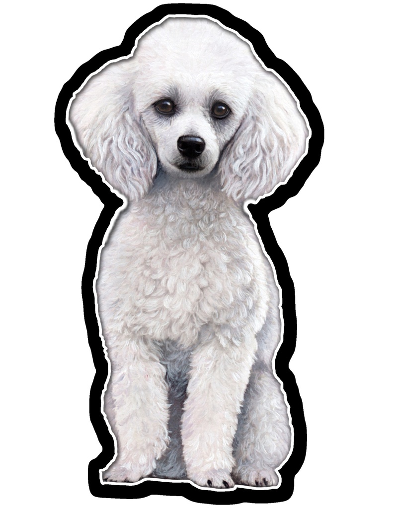 Poodle, White Sticker