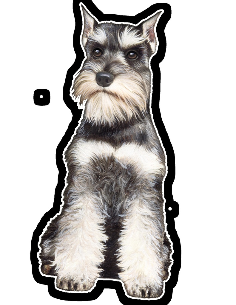 Schnauzer Sticker